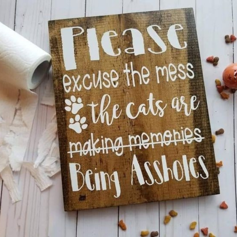 Funny Wooden Cat Sign